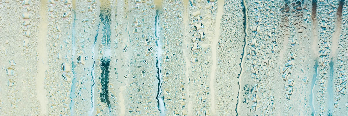 dehumidifier