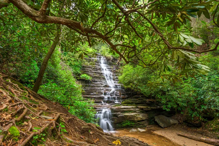 rabun county ga